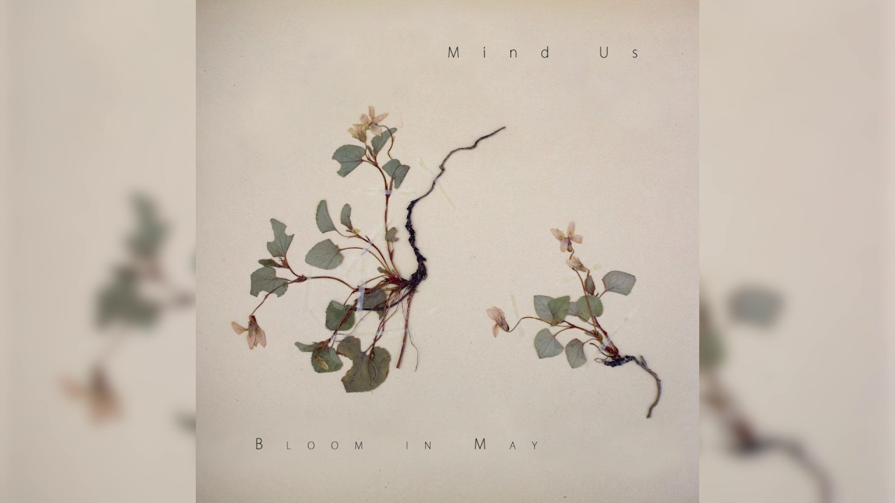 Mind Us - Bloom in May (Audio)