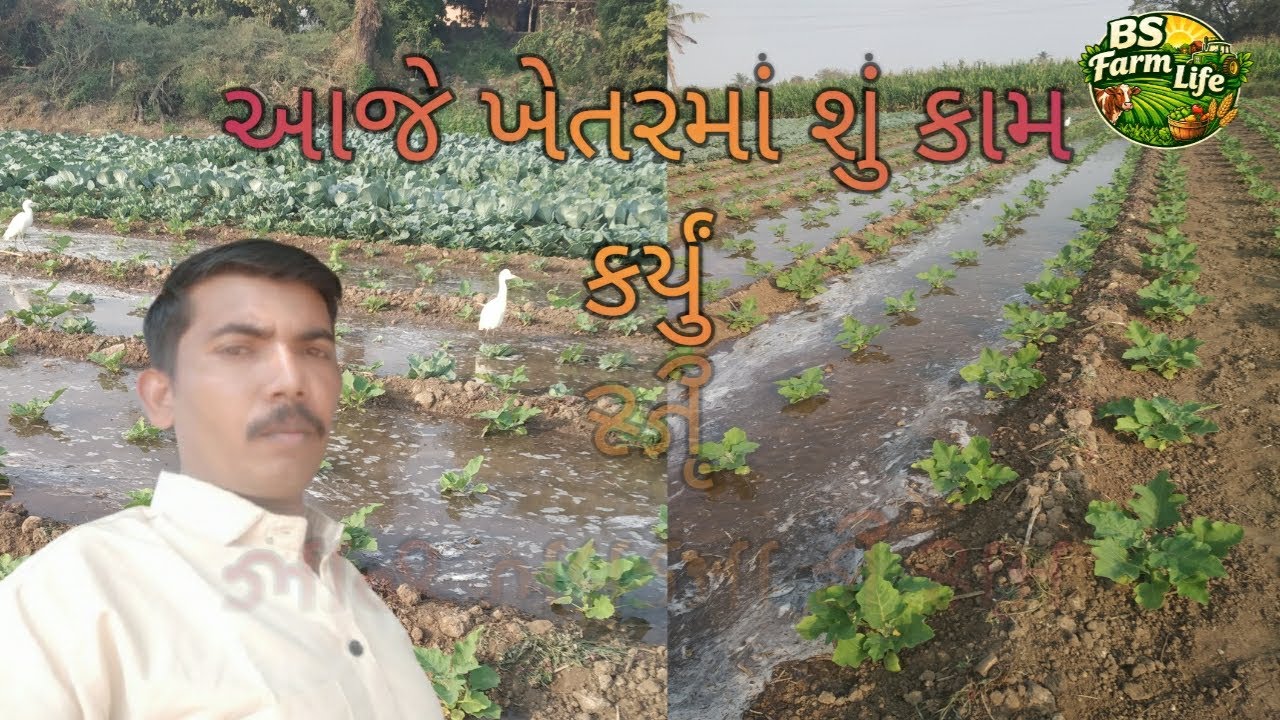 આજે ખેતરમાં શું કામ કર્યું? | BS Farm Life |#ખેતીવ્લોગ#ખેડૂતજીવન#ગામડુંજીવન