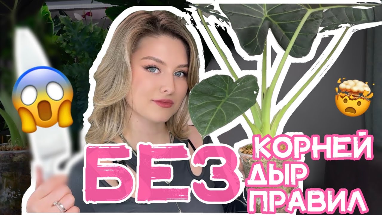 Нарушаю ВСЕ правила пересадки алоказии😱 Что было через 5 дней — НЕВЕРОЯТНО🔥
