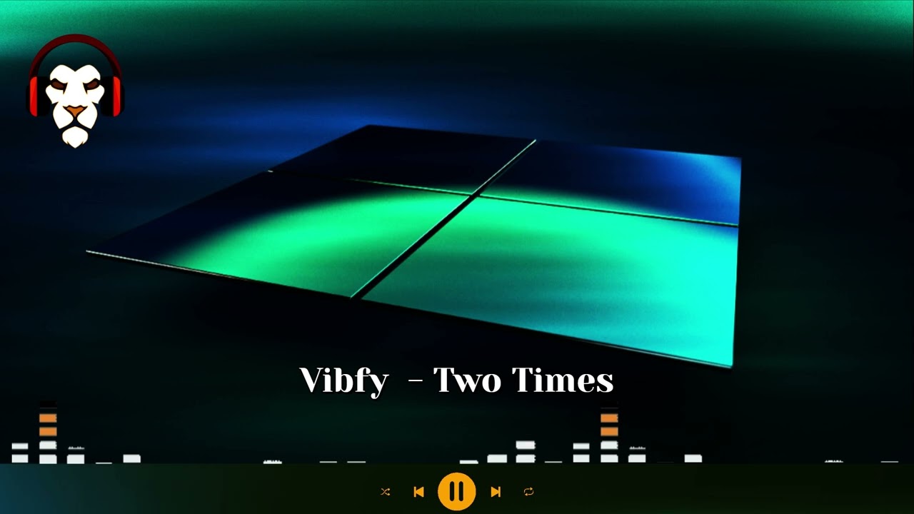 Vibfy  - Two Times