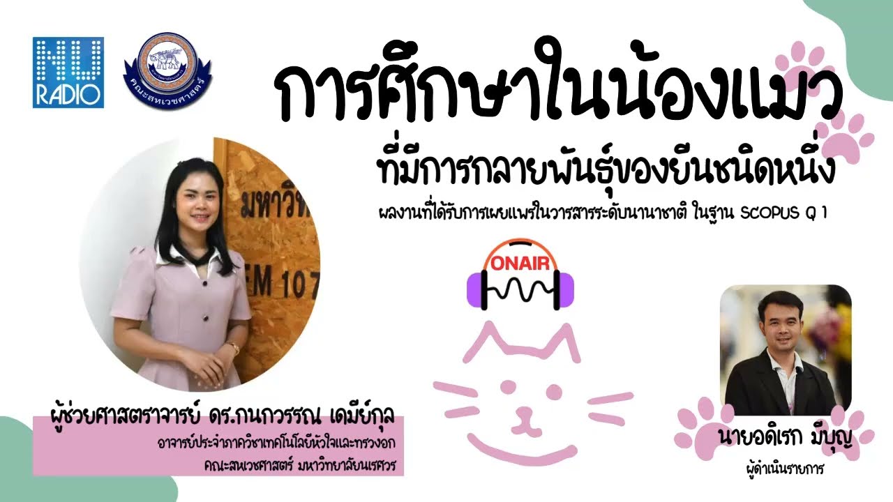 คลิปเสียงสัมภาษณ์ การศึกษาในน้องแมว ที่มีการกลายพันธุ์ของยีนชนิดหนึ่ง