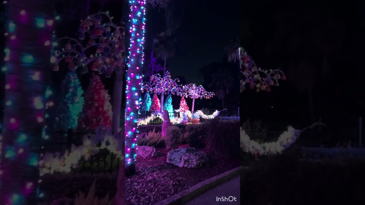 Así me despido de la navidad 🥰