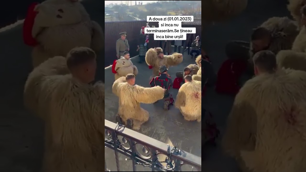 Datini, obiceiuri și traditii  de Anul Nou #comănești #traditii #joculursului #tradition #capra