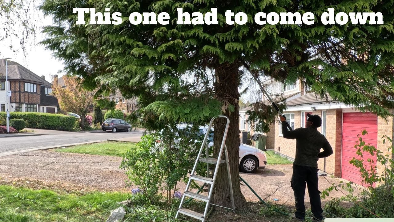 Another beautifully done clearance/tidy up|| Landscaping || Gardening