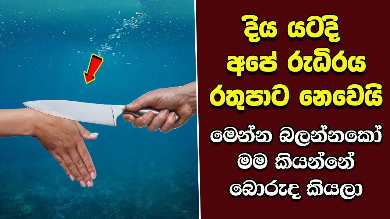 මුල් මාස හයේ Mr.පුදුමයගේ හොඳම ටික මෙන්න