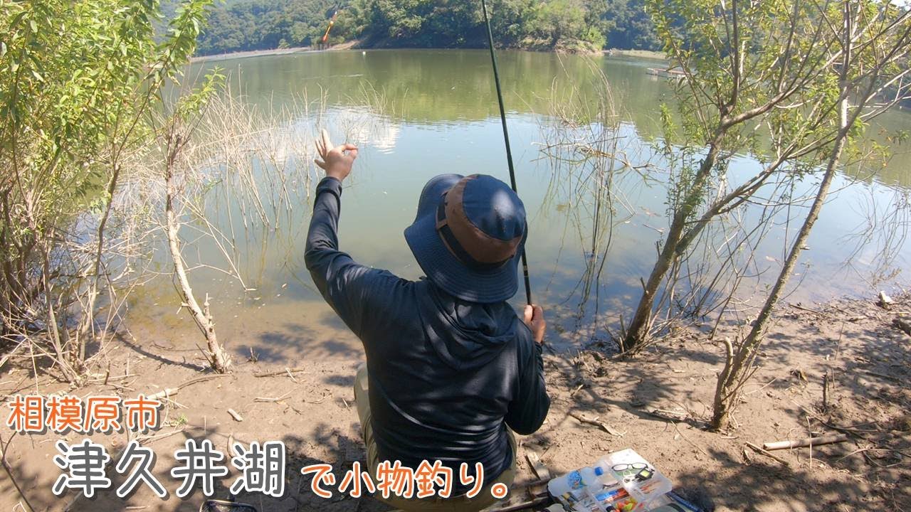 ラインが鳴く！大物も狙える！釣れる！  相模原市 津久井湖で小物釣り。