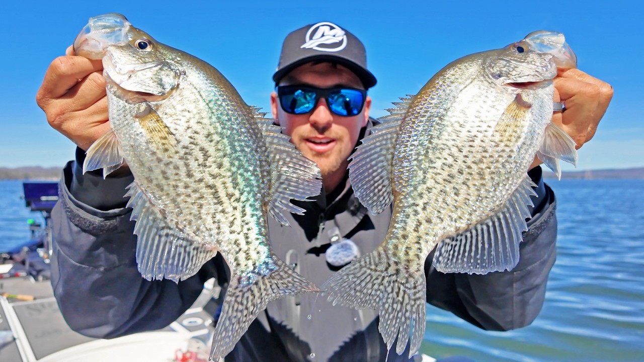 Easily Catch BIG CRAPPIE With LIVESCOPE! They're Loaded! (Tiken Airpot Coffee Dispenser Review)