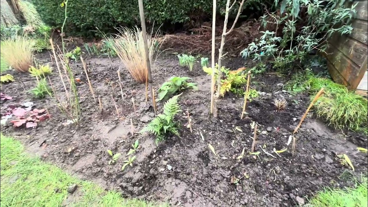 English garden winter tour, sowing sweet peas and anemones. Plus a little garden centre trip 🌱