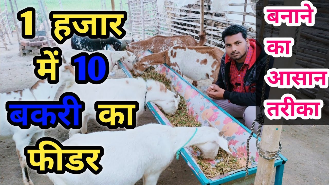 1 हजार में 10 बकरियों के लिए फीडर ||  bakri ke liye feeder kaise banaen