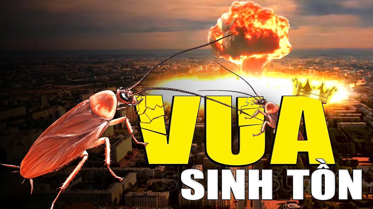 Gián Có Thể Sống Sót Sau Vụ Nổ Hạt Nhân?!