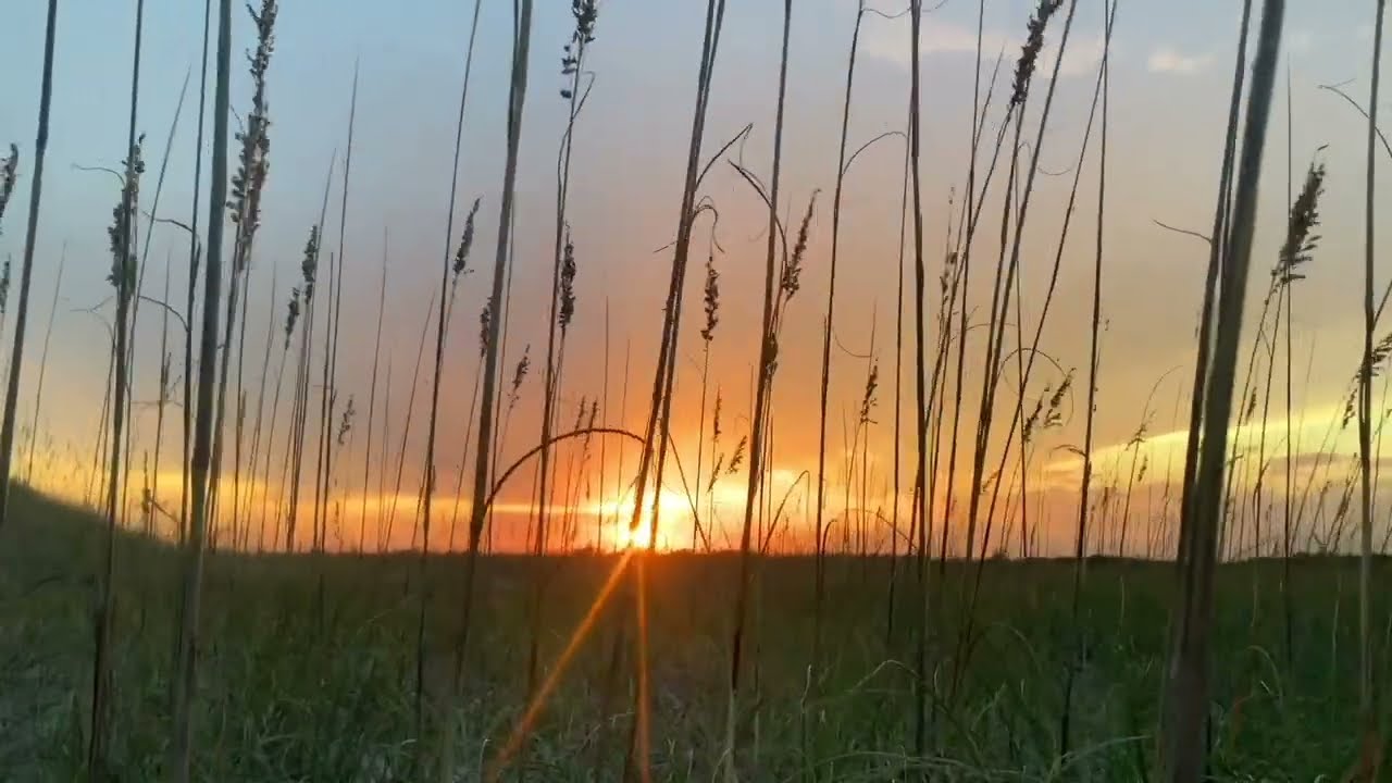 Outer Banks, NC - 8 Hours of Relaxing Music and Nature