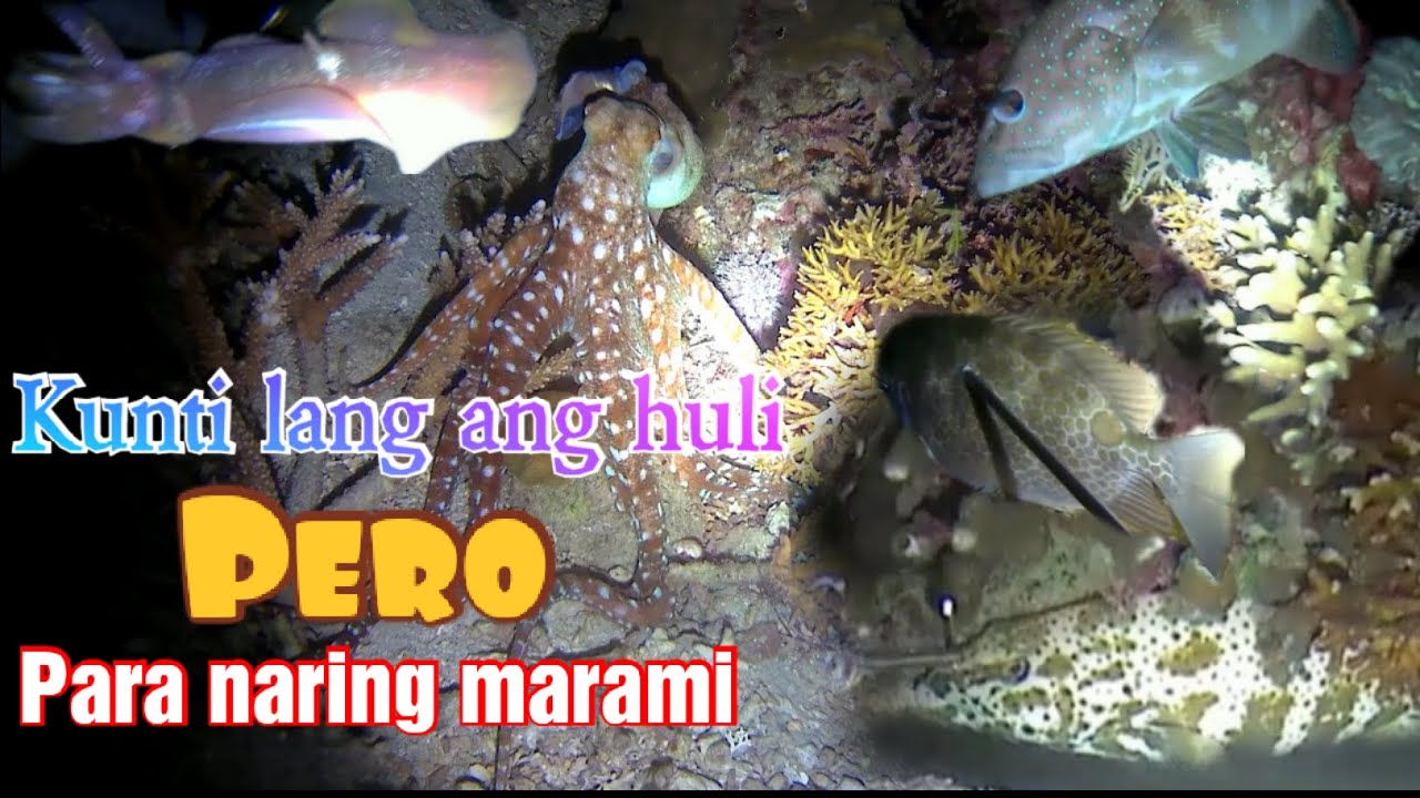 Kunti lang ang huli. Pero para naring marami Ep.#10 Dagat Adventure | Night Dive Spearfishing.