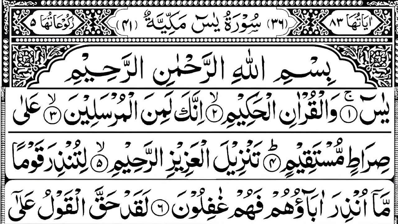 Surah Yaseen | Yasin Dua | Ep 755 |Daily Quran Tilawat | Surah Yasin Surah Rahman Surah Mulk