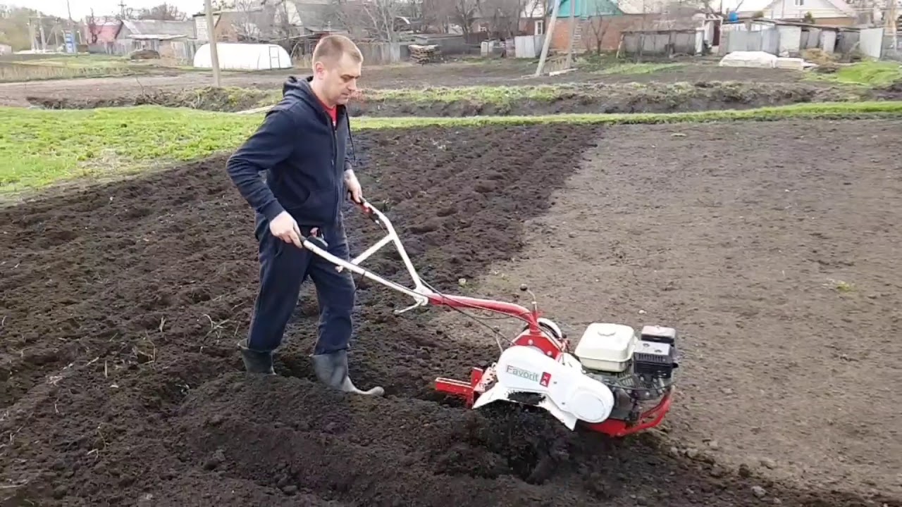 Наша мотоблочная жизнь, мотоблок WEIMA 1050 (Favorite) и весеннее фрезерование в живую....