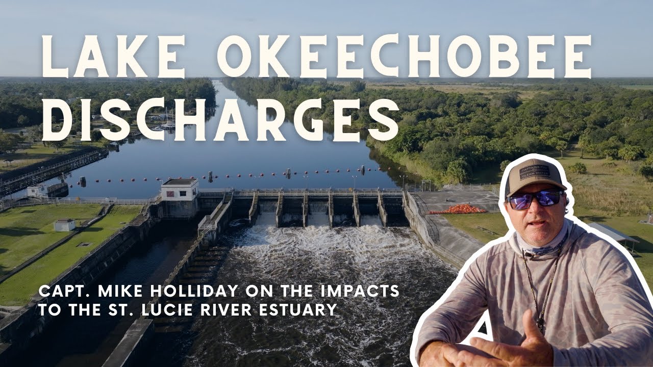Lake Okeechobee discharges send 900 Million gallons of polluted water daily to St. Lucie River