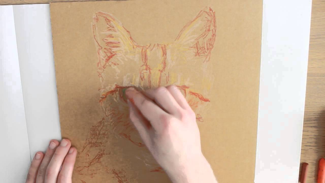 drawing a cat with oil pastel