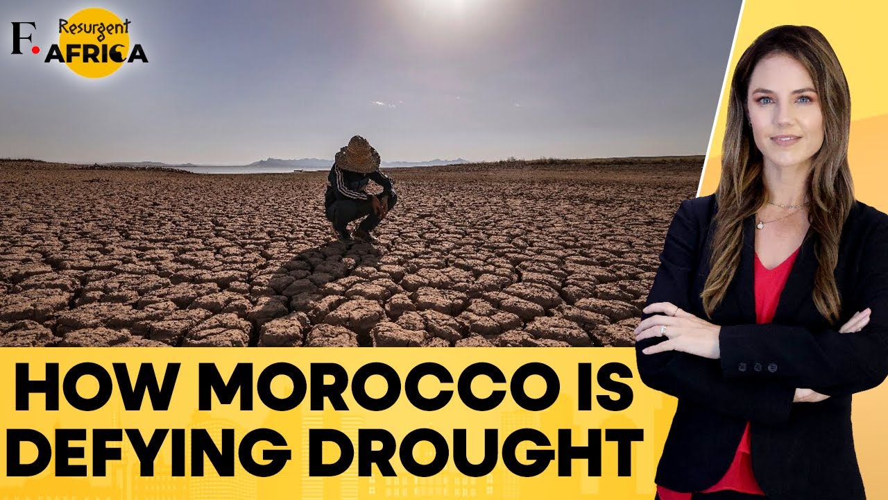 Morocco Develops Drought-Tolerant Grains to Fight Looming Food Insecurity | Firstpost Africa