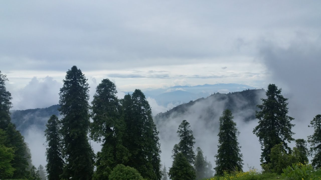 Thandiani, Abbottabad || Lockdown 2020 || Complete Guide & Exploration of Area