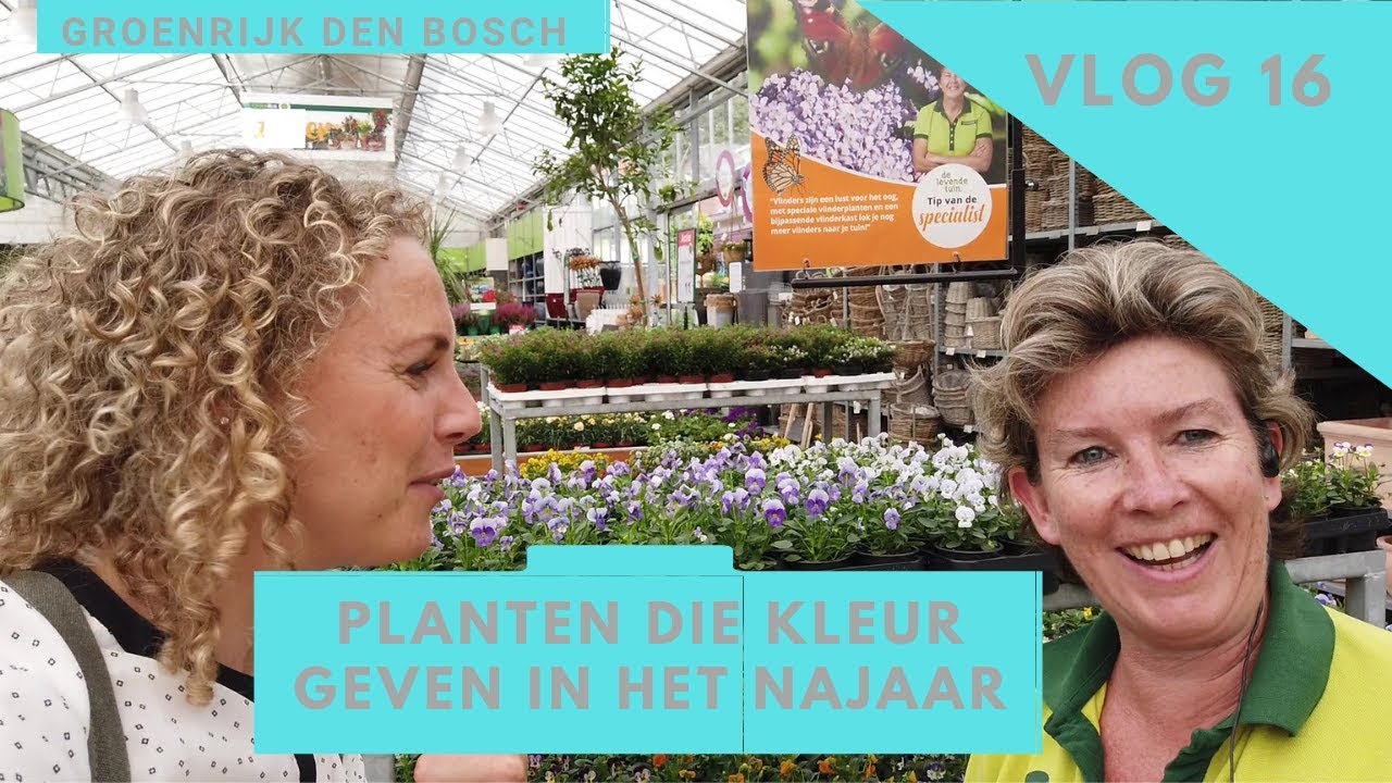 vlog16 Kleurige planten in het najaar bij GroenRijk Den Bosch