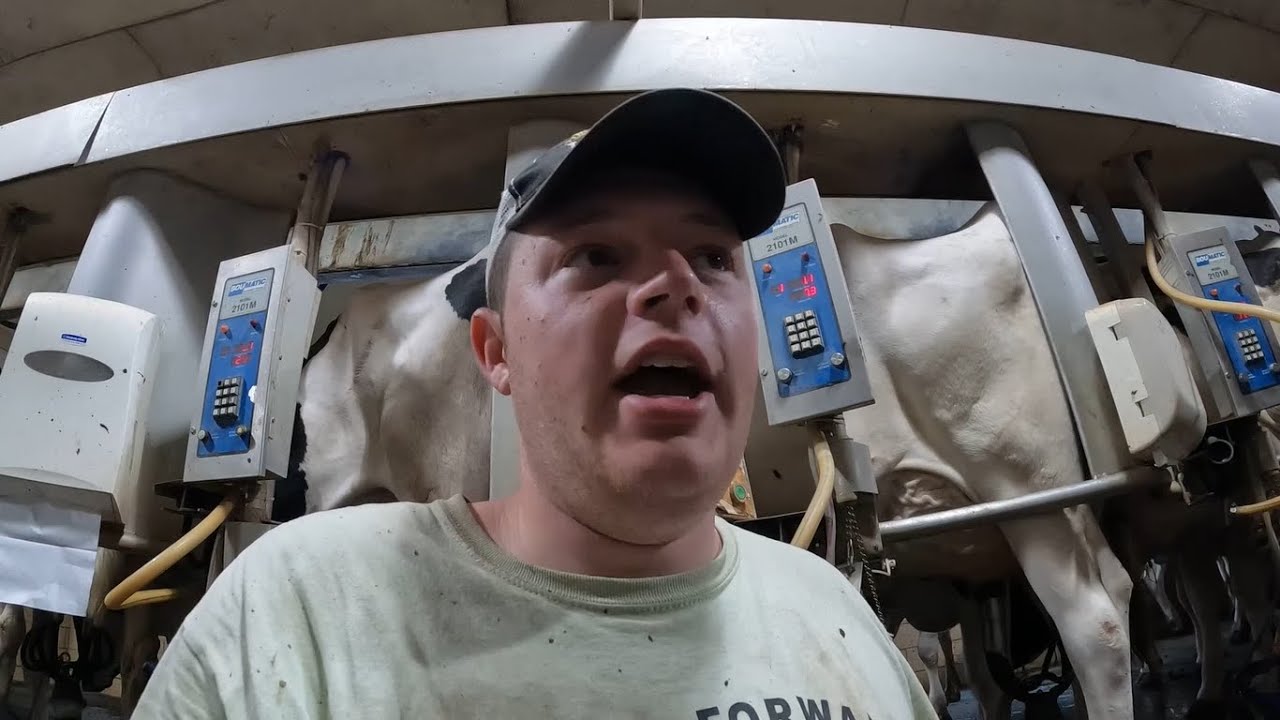 Good Morning from the Milking Parlor