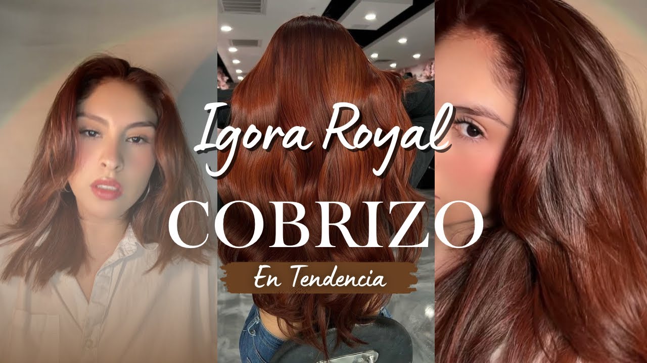 ¡BIENVENIDAS COBRIZAS!- Nuevo tono en TENDENCIA, Igora Royal 6-77