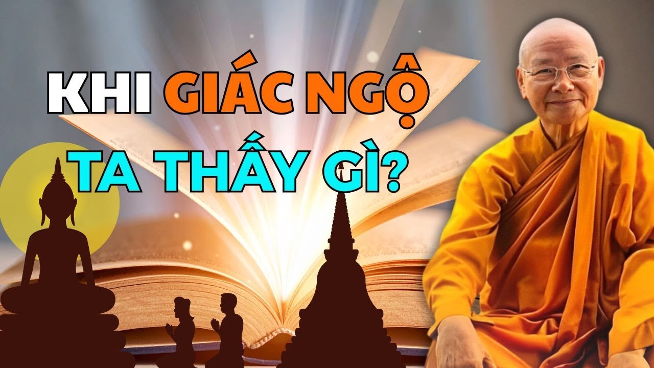 Khi Ngộ ra ta Thấy gì? Vấn đáp Hay Nhất Hòa Thượng Viên Minh (Nên Nghe)
