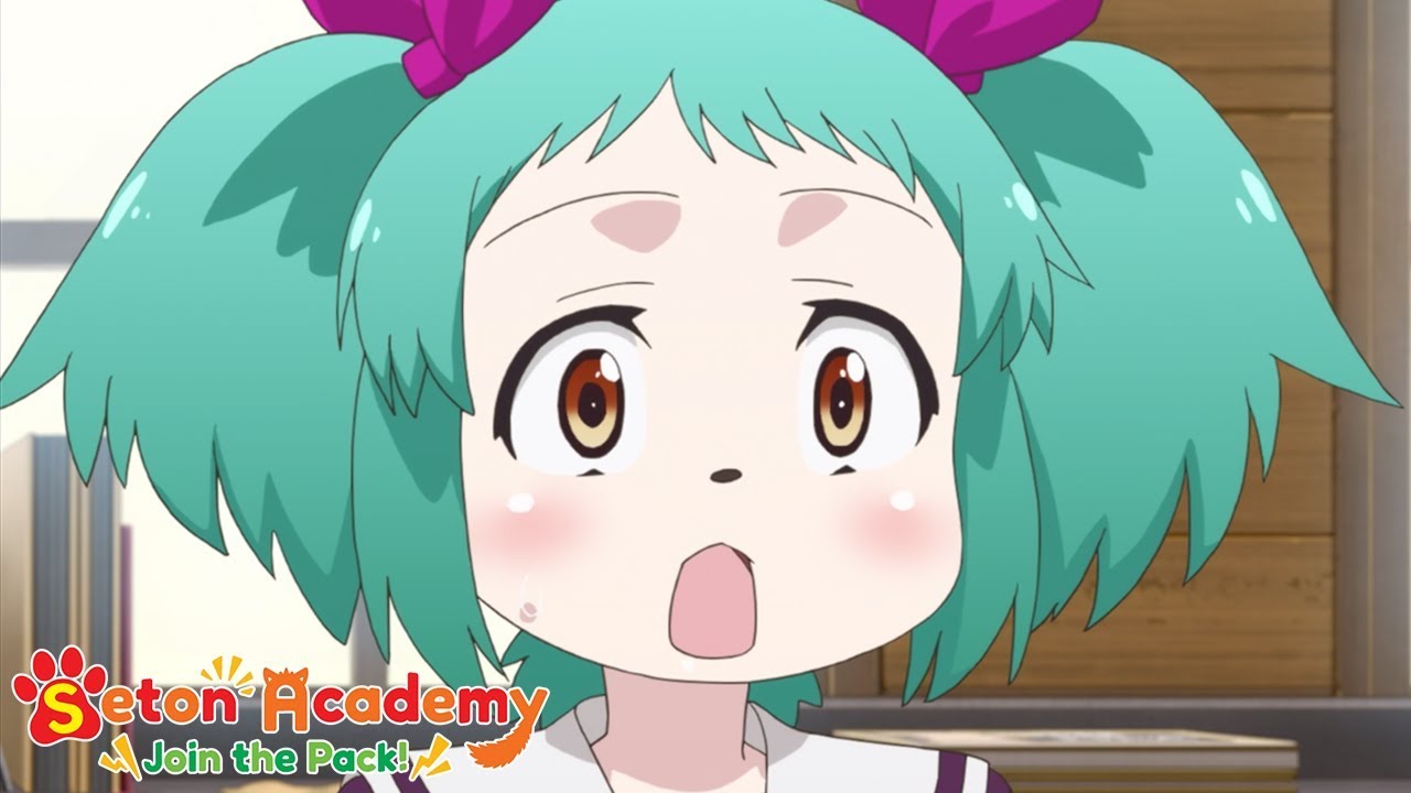 Cookin' Koala! | Seton Academy: Join the Pack!