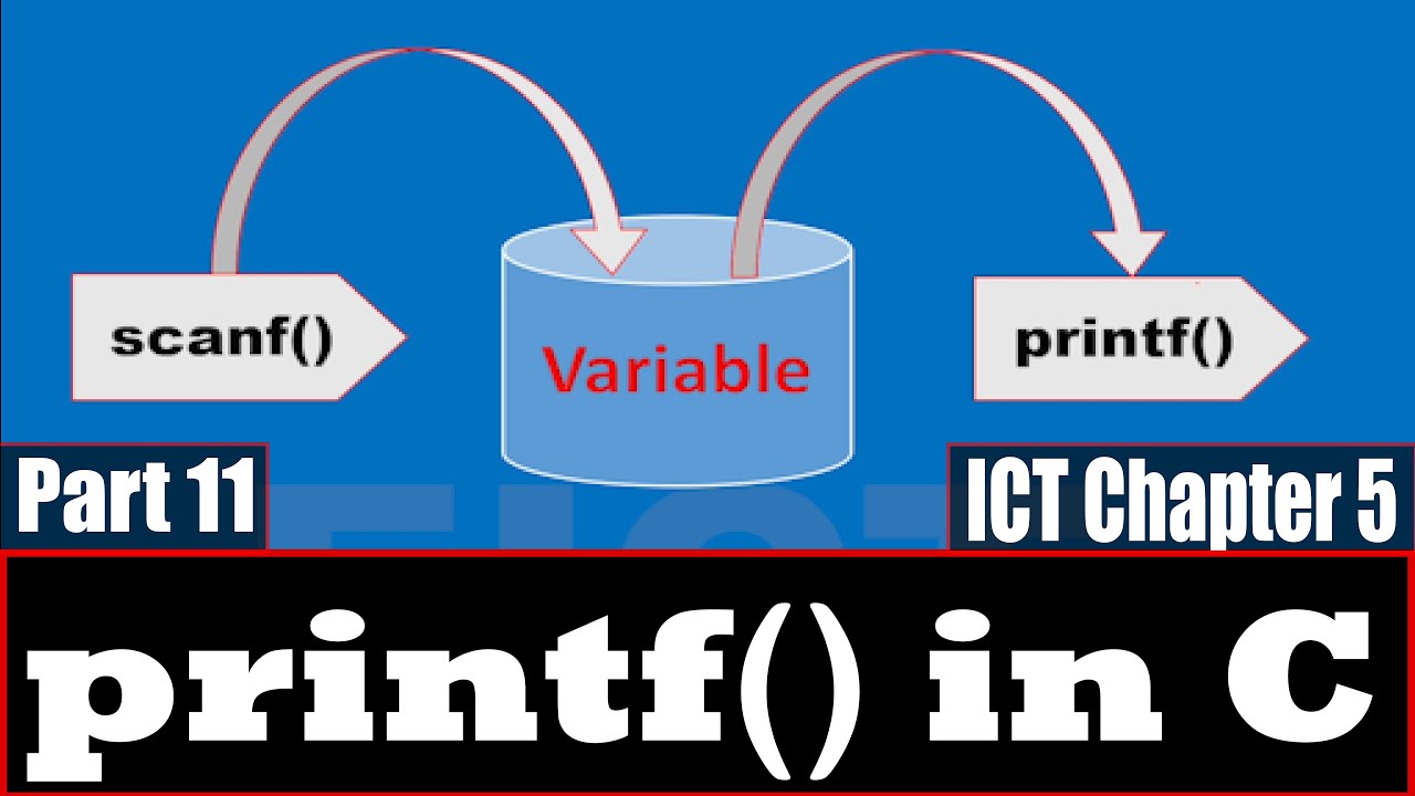 Output Functions in C  | printf() function in C | C Programming ||HSC ICT Chapter 5