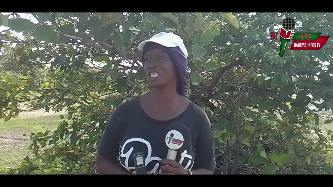 Bignona / L'APAC KAWAWANA dans la préservation de la mangrove 