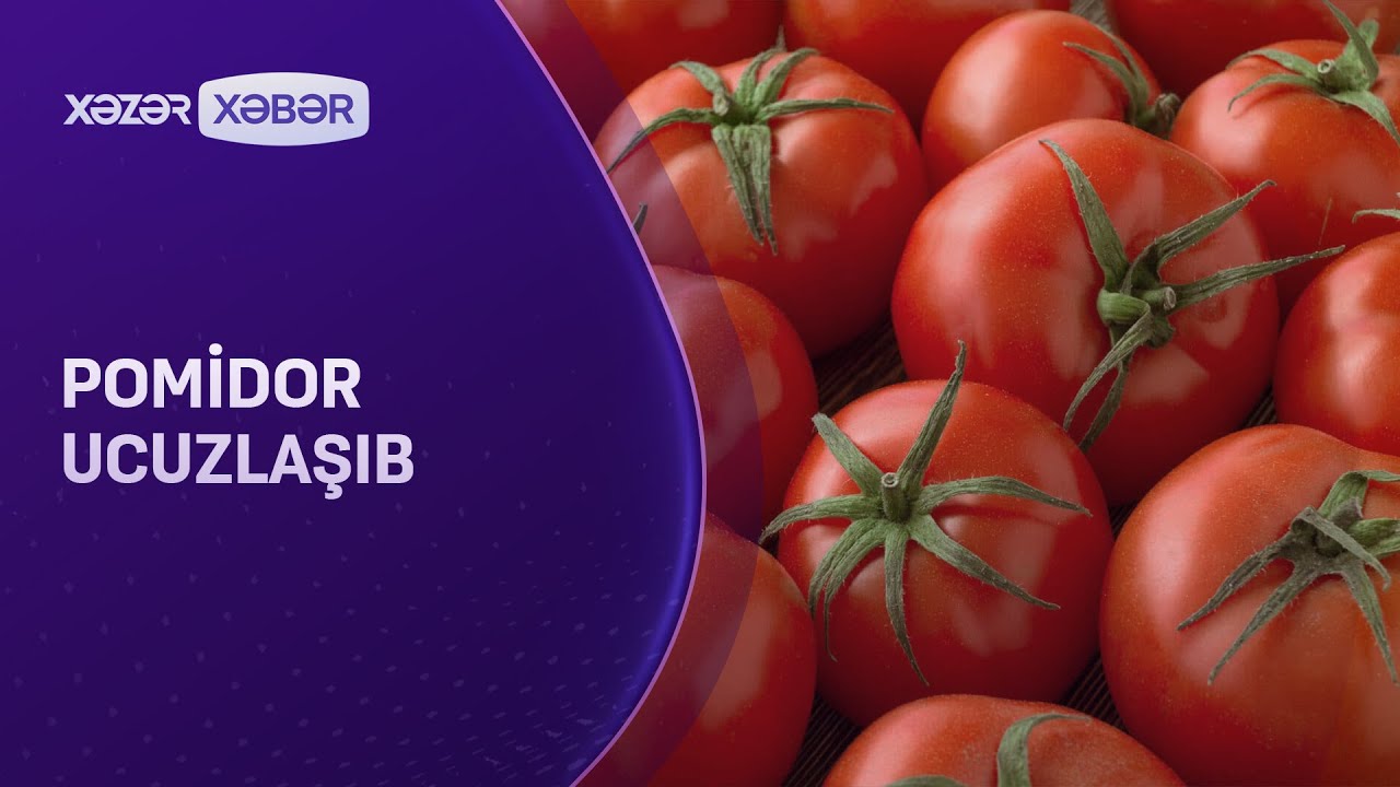 Pomidor ucuzlaşıb