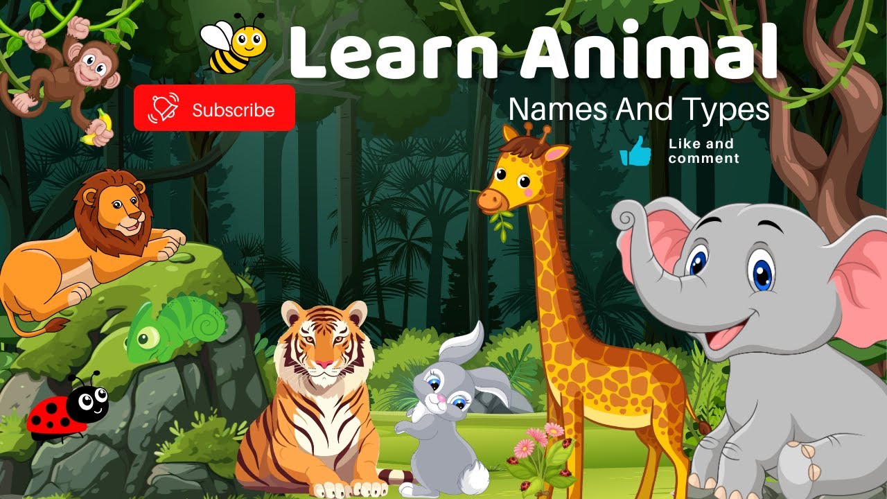 Learn Animal /  Names and Types 🦁🐘