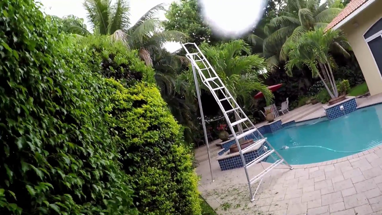 Hasegawa tripod ladder & stihl articulating hedge trimmer in action