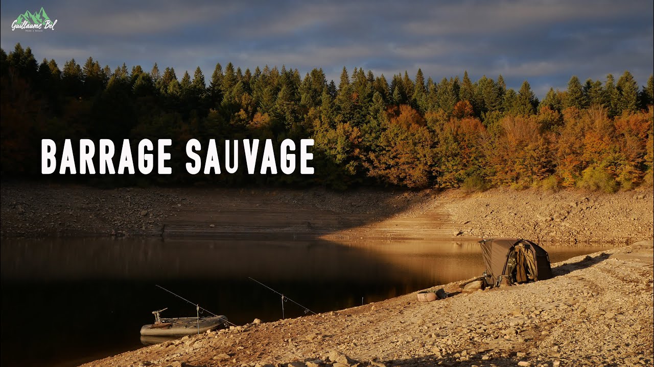 Pêche de la CARPE en barrage / Le poisson est au rendez-vous