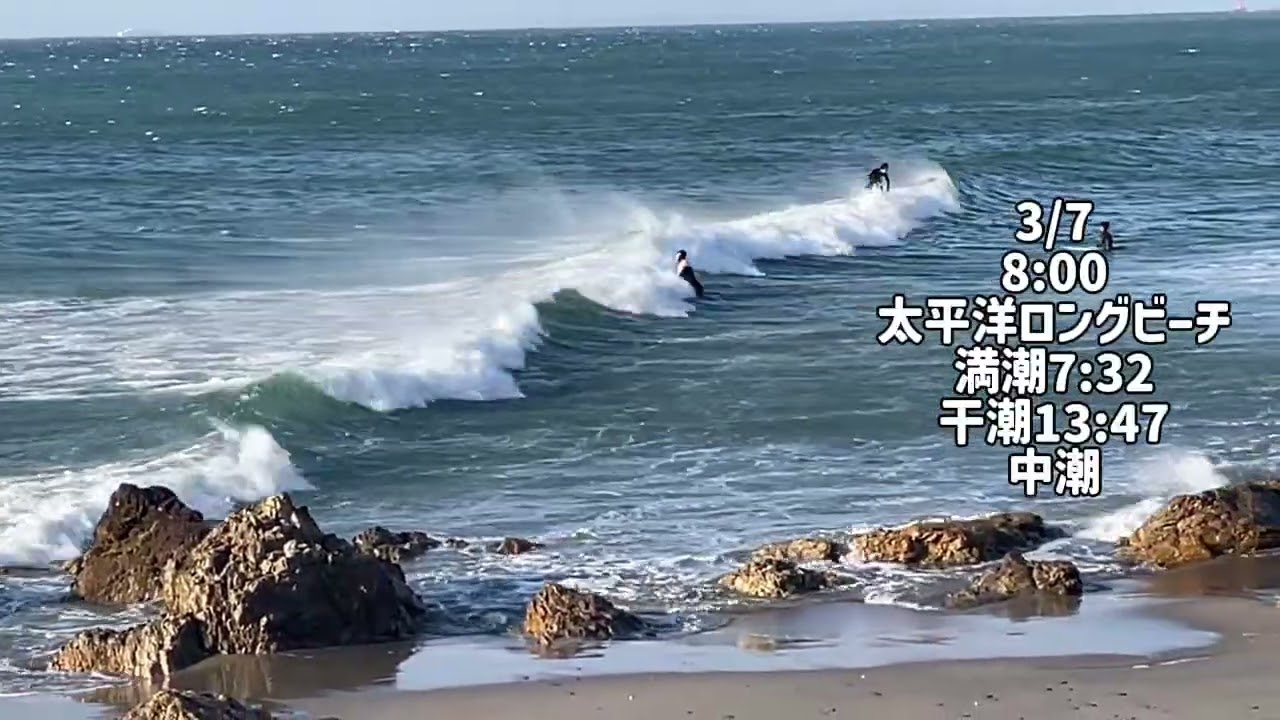3/7 8:00  太平洋ロングビーチ【伊良湖波情報】2026年