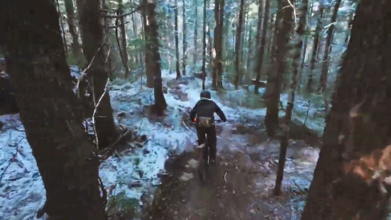 Blockhead & lost wood (chase cam)