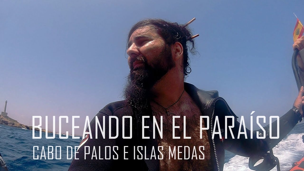 GUÍA COMPLETA DE BUCEO EN LAS ISLAS MEDAS E ISLAS HORMIGAS