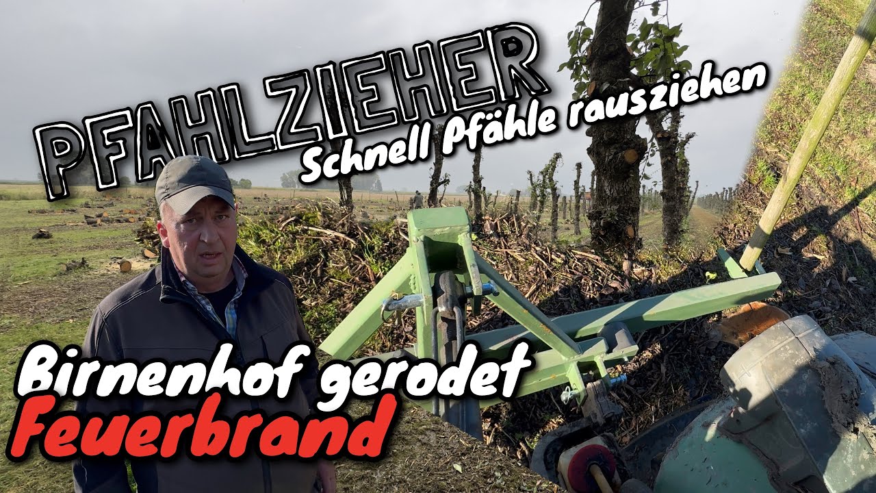 Obsthof Raddatz - Schnell die Pfähle rausziehen | Pfahlzieher | Birnenhof gerodet | Feuerbrand