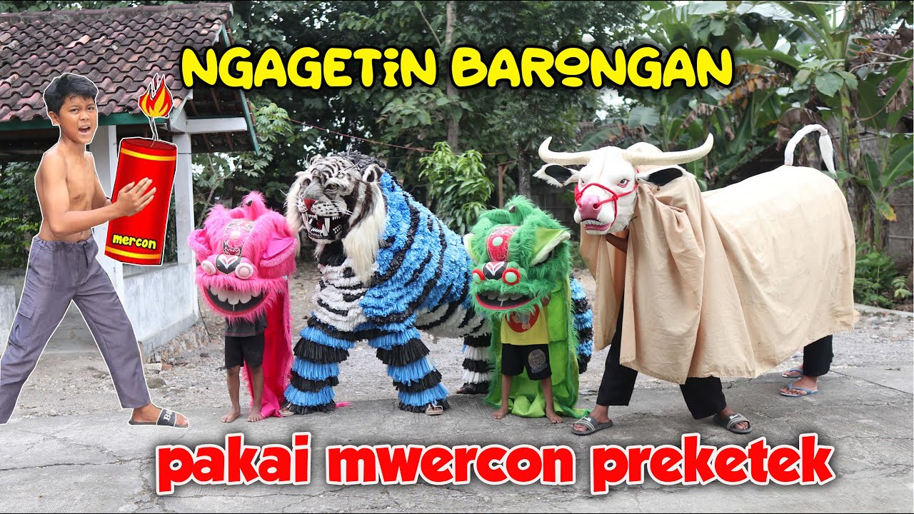 BWOCIL NGAGETIN BARONGAN BANTENGAN BARONGSAI PAKAI MWERC0N SAMPAI BANGUN