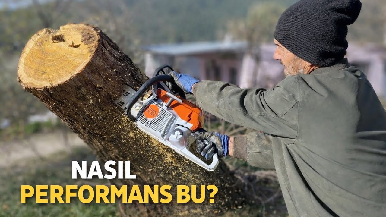 Bu Testere Abartı mı? MS 261 Gücü Sahada 