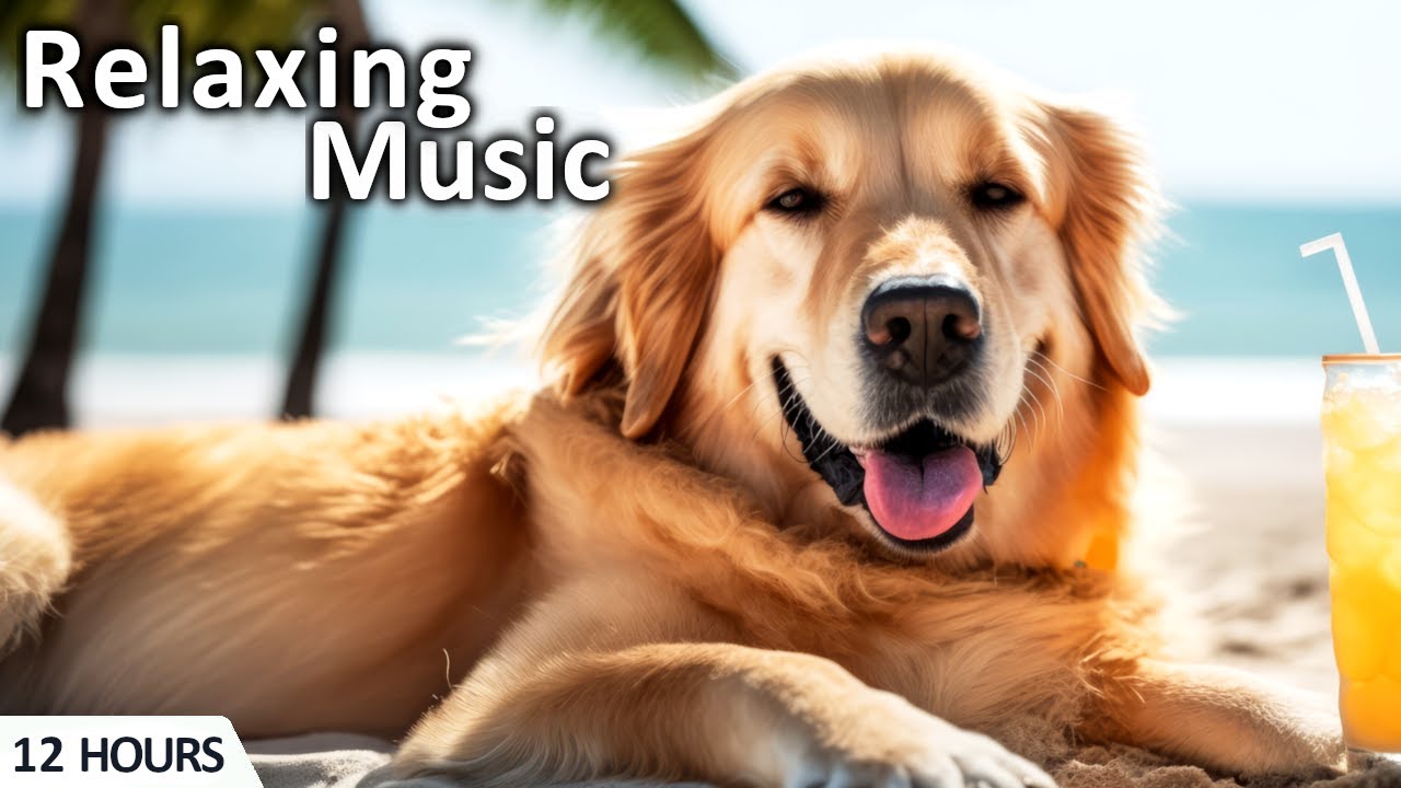 Soothing Music for Dogs & Pets 🎵 #relaxingmusic #soothingmusic #petmusic