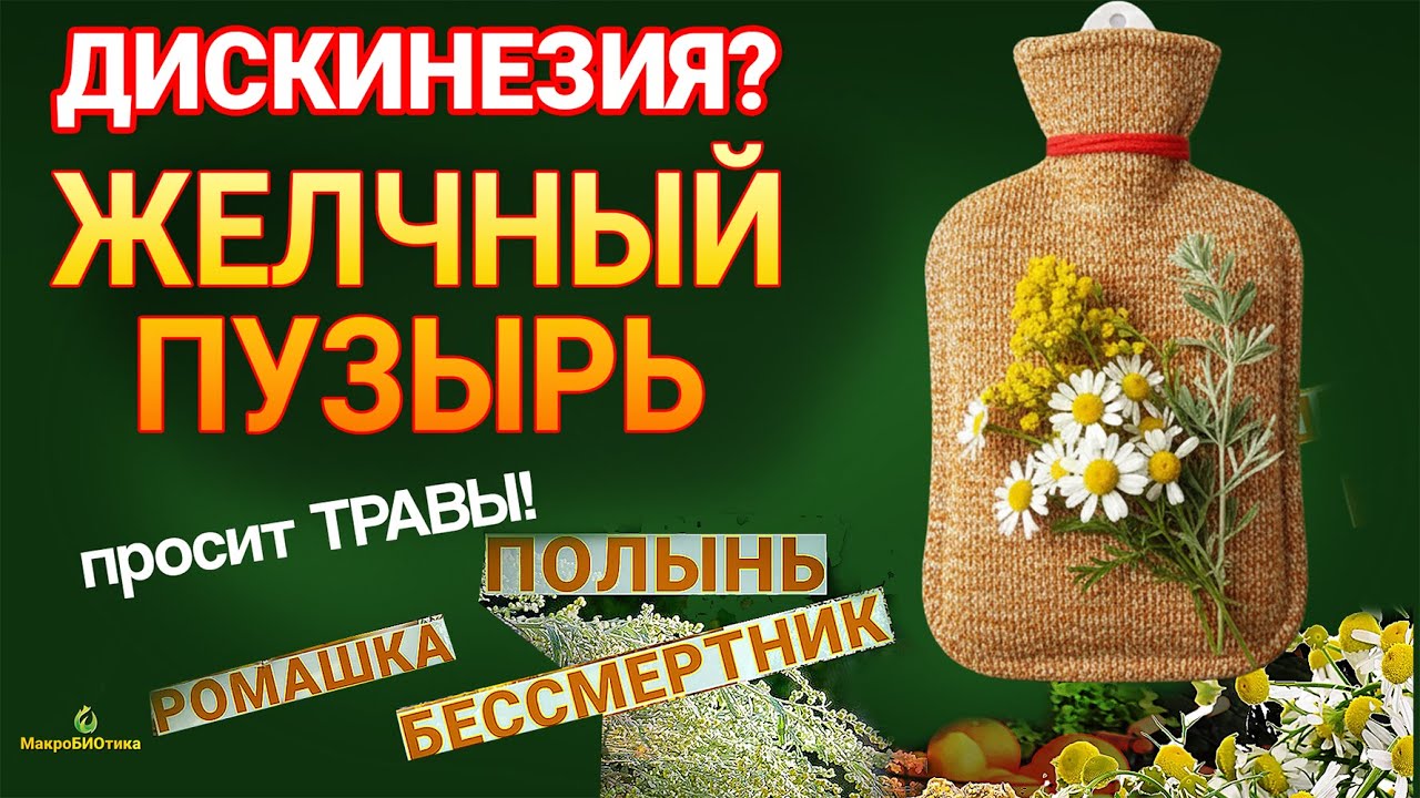 Дискинезия? ЖЕЛЧНЫЙ ПУЗЫРЬ просит ТРАВЫ! 💚 Ромашка, Полынь Бессмертник и Грелка: Народный Опыт