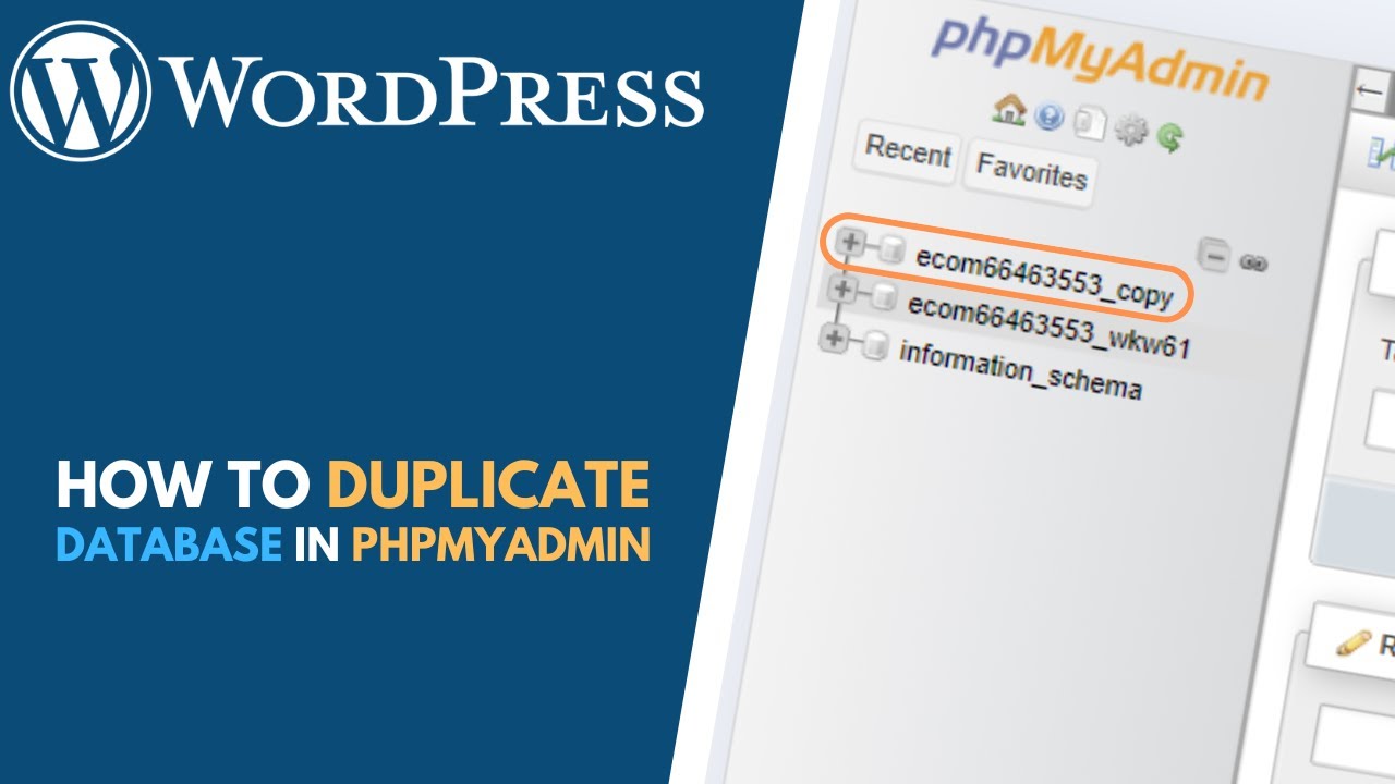 WordPress: How to Duplicate WordPress Database // Create a Copy of Database in phpMyAdmin