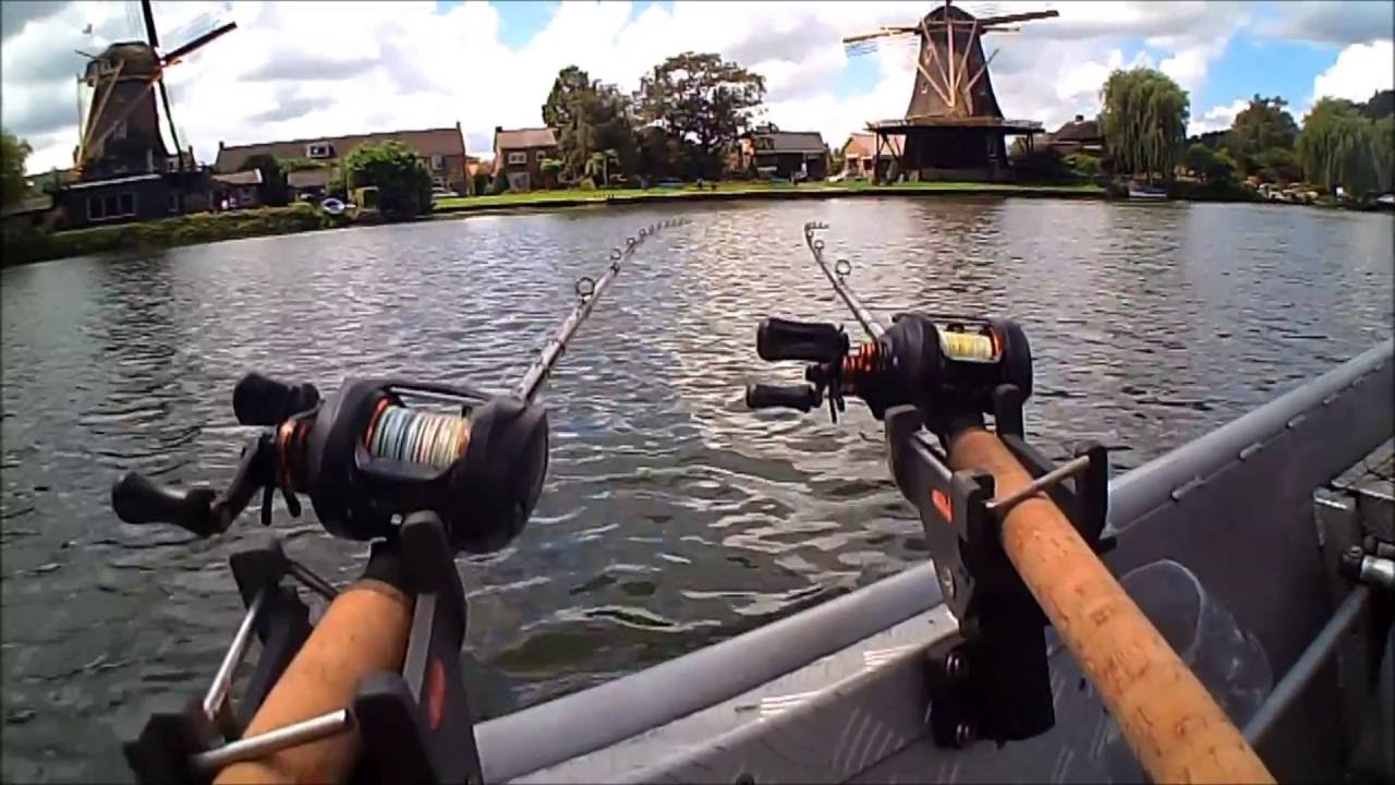 Savage Gear 3D Line Thru Roach Big Fish
