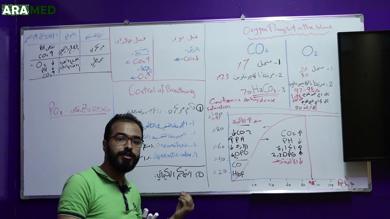 فزيولوجيا الجهاز التنفسي 3 - النقل وتنظيم التنفس Respiratory Physiology 3