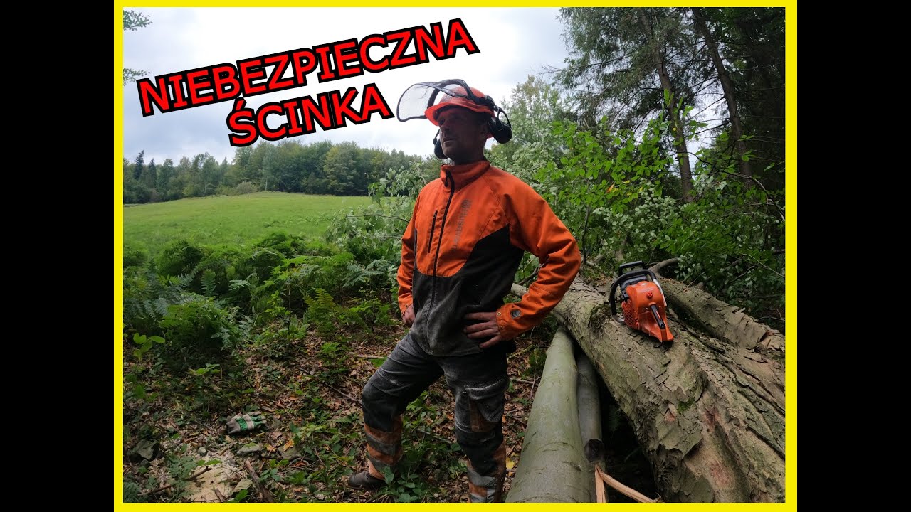 Niebezpieczna ścinka drzew