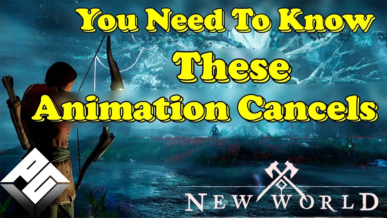You Must Know These Animation Cancels!