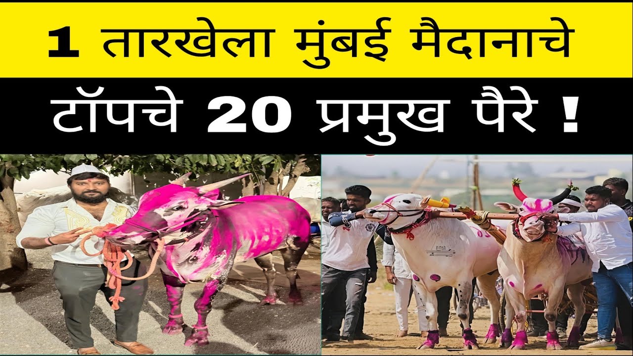 १ मार्चला २०२६रोजी  मुंबई येथे होणाऱ्या ओपन तीन फेरे मैदानात कोण कोणते टॉपचे पैरे झाले आहेत ?