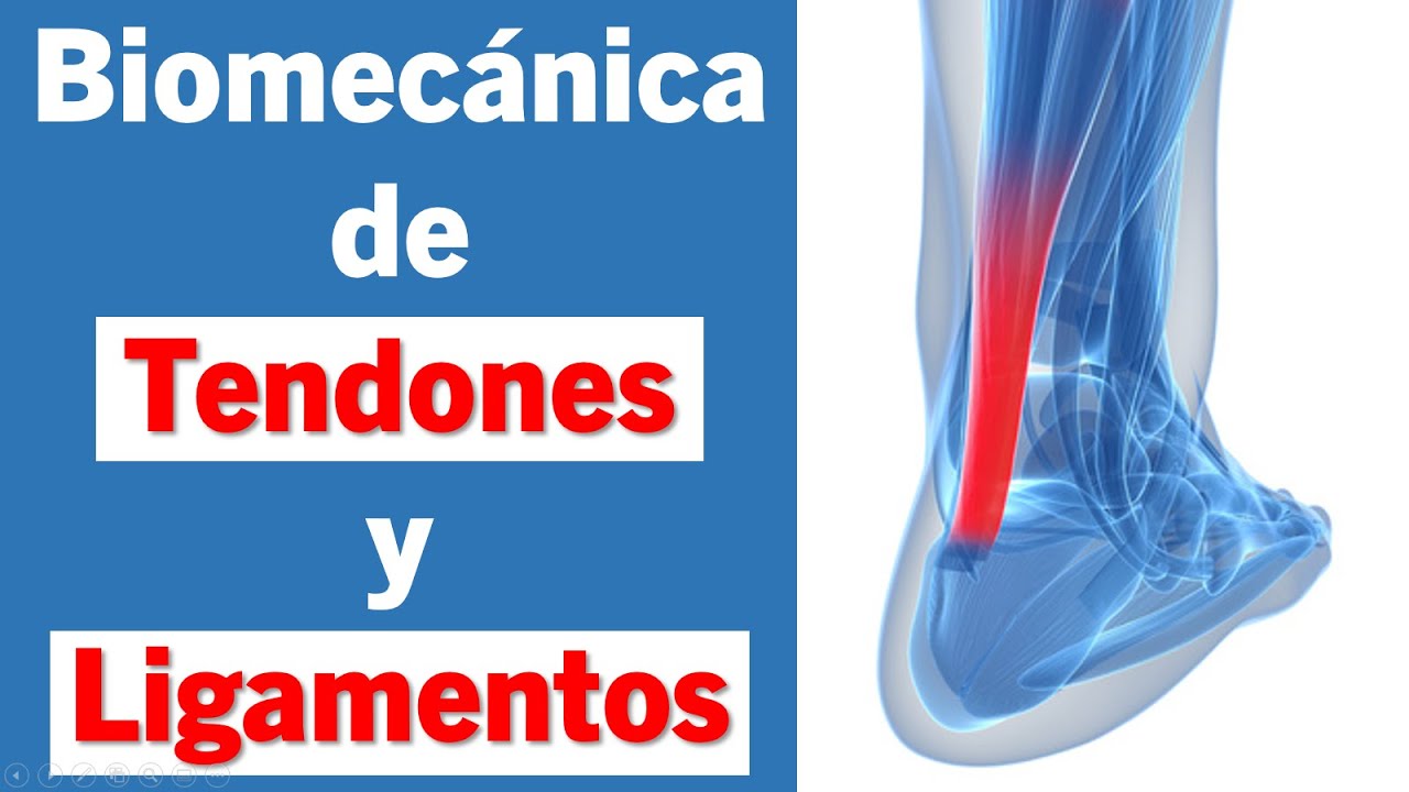 Biomecánica de Tendones y Ligamentos