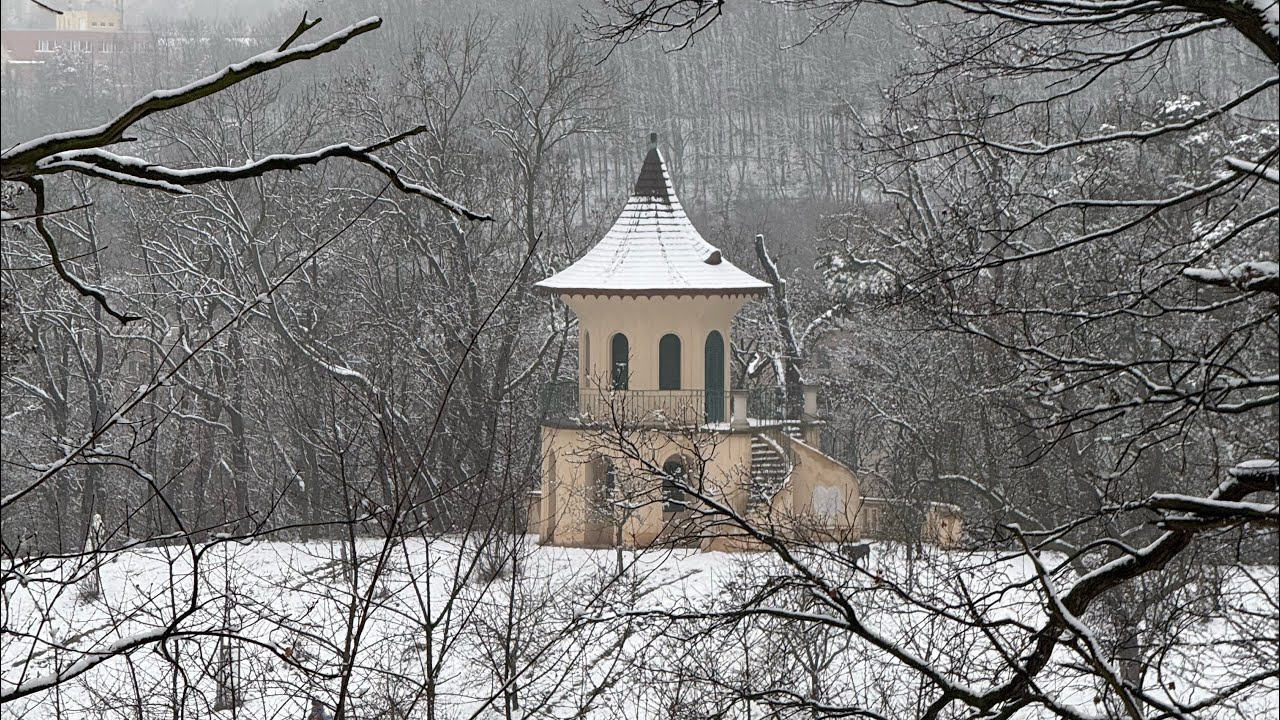 Прага зимой ❄️ Усадьба XIX в. Цибулка 😍 Красивая природа и Богатая история в центре Праги 👍 #prague 
