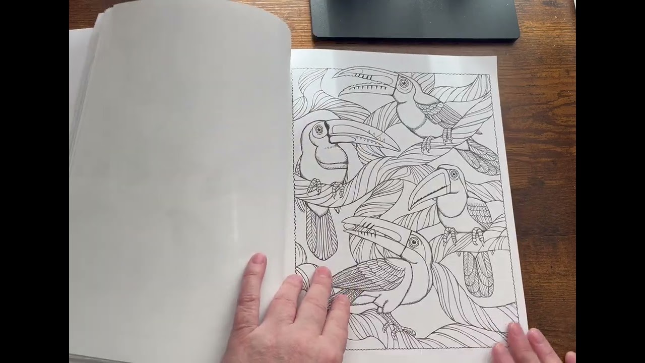 Nature Scapes by Creative Haven coloring book flip 